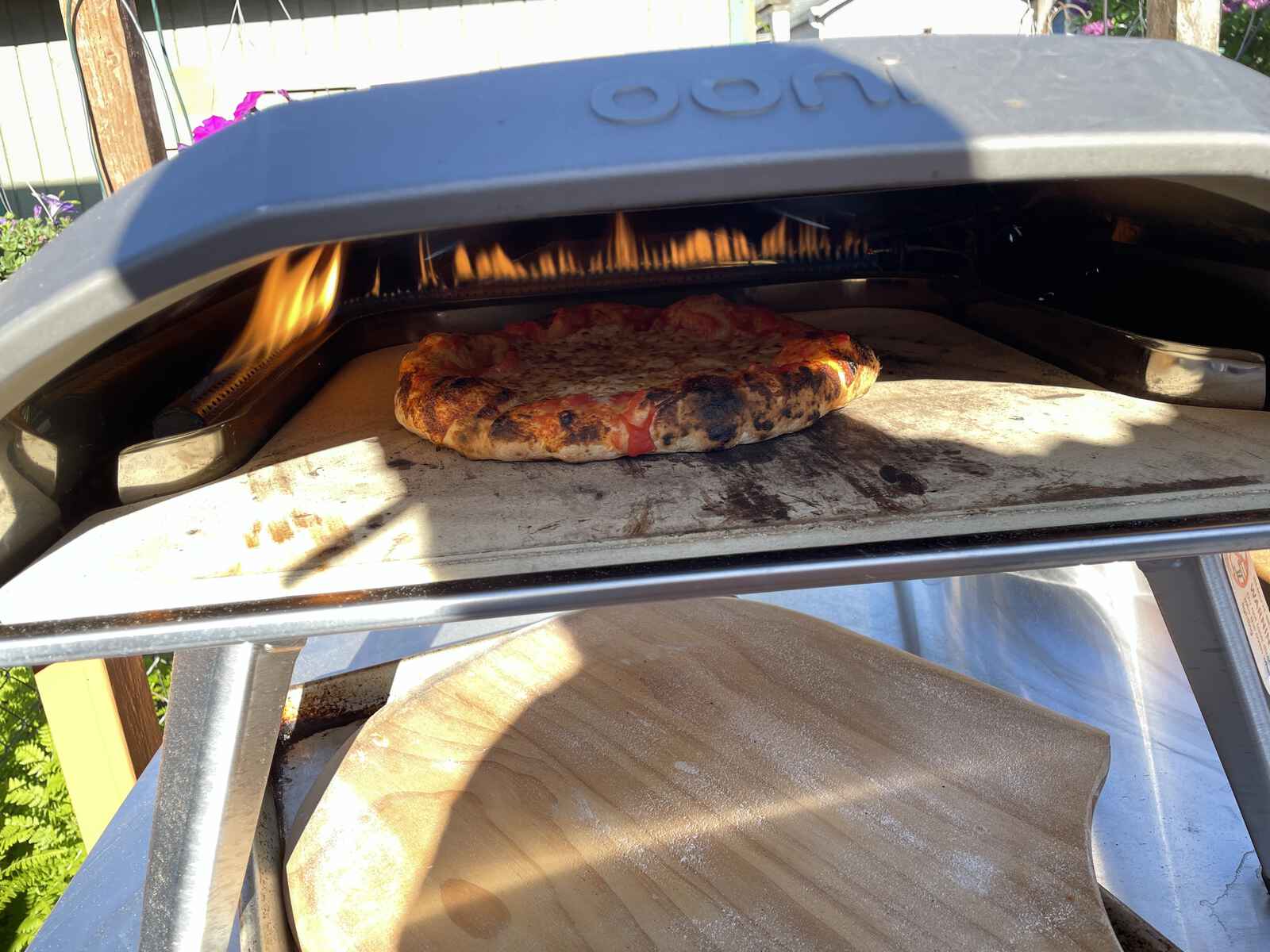 Pizza in an oven